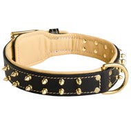 Royal Leather Mastiff Collar Spiked Padded with Nappa Leather
