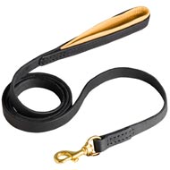 Padded on Handle Leather Mastiff Leash for Walking and Training