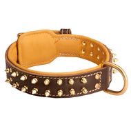 Spiked Mastiff Collar Padded with Nappa Leather