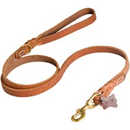 Walking and Training Leather Mastiff Leash with Comfy Handle