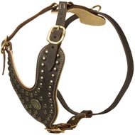 Royal Design Leather Mastiff Harness with Brass Studs