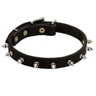 Mastiff Leather Collar Spiked 3/4 Inch