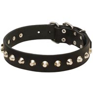 Gorgeous Wide Leather Mastiff Collar - Fashion Exclusive Design