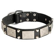 Leather Mastiff Collar Decorated with Nickel Cones and Plates