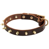 Walking Designer Leather Mastiff Collar with Brass Spikes