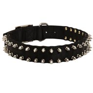 Mastiff Nylon Collar Spiked