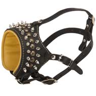 Royal Spiked and Studded Leather Mastiff Muzzle