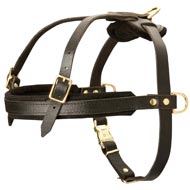 Leather Mastiff Harness for Tracking and Pulling