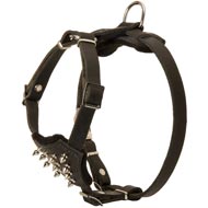 Durable Spiked Leather Puppy Mastiff Harness