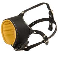 Snout Short Leather Mastiff Muzzle Padded with Nappa Leather