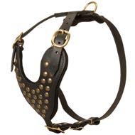 Adjustable Studded Leather Mastiff Harness for Fashion Walking