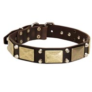 Leather Mastiff Collar with Studs and Plates