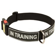All Weather Nylon Mastiff Collar with ID Patches