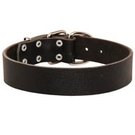 Wide Leather Mastiff Collar for Training and Walking