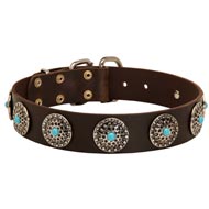 Leather Mastiff Collar with Blue Stones for Stylish Walking