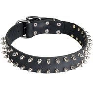 Leather Mastiff Collar with 2 Rows of Nickel Spikes