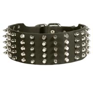 Mastiff Leather Collar Spiked and Studded