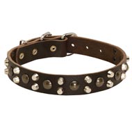 Leather Mastiff Collar With Studs and Pyramids