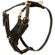 Padded Leather Mastiff Harness for Agitation Training