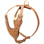 Brass Spiked Leather Mastiff Harness for Fashion Walking