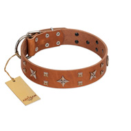 "Dreamy Gleam" FDT Artisan Tan Leather Mastiff Collar Adorned with Stars and Squares