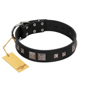 "Foregone Riches" FDT Artisan Black Leather Mastiff Collar with Old Silver-like Square Studs and Pyramids