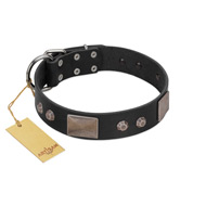 "Square Stars" Modern FDT Artisan Black Leather Mastiff Collar with Square Plates and Studs