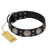 "Starry Sky" Trendy FDT Artisan Black Leather Mastiff Collar with Large Brooches