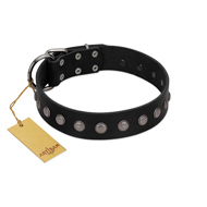 "Silver Flower" Exclusive FDT Artisan Black Leather Mastiff Collar with Silver-Like Studs