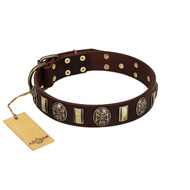 "Skull's Adventure" FDT Artisan Brown Leather Mastiff Collar with Plates and Ovals