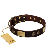 "Bow-Wow Effect" FDT Artisan Brown Leather Mastiff Collar with Plates and Ornate Studs