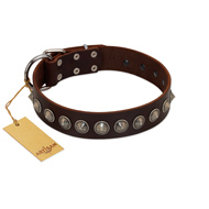 "Gothic Style" FDT Artisan Fancy Brown Leather Mastiff Collar with Silver-Like Decorations