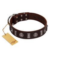 "Spiky Way" FDT Artisan Brown Leather Mastiff Collar with Silver-Like Decorations