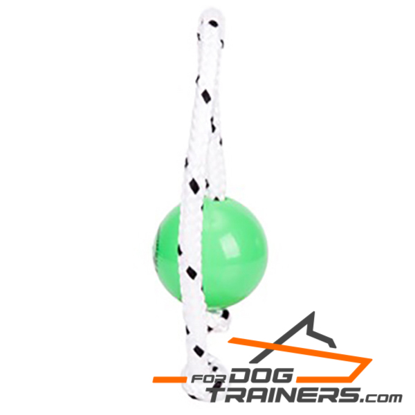 Green plastic ball on rope 