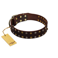 "To the Moon and Back" FDT Artisan Brown Leather Mastiff Collar with Bronze-like Star Studs