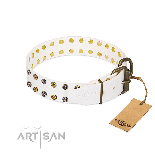 Impressive leather dog collar with corrosion proof embellishments