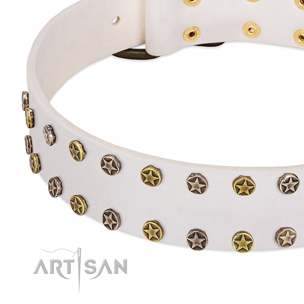Stylish studs on natural leather collar for your dog