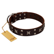"Bigwig Woof" FDT Artisan Brown Leather Mastiff Collar with Chrome Plated Stars and Square Studs