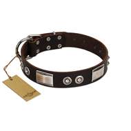 "Baller Status" FDT Artisan Brown Leather Mastiff Collar Adorned with a Set of Chrome Plated Studs and Plates