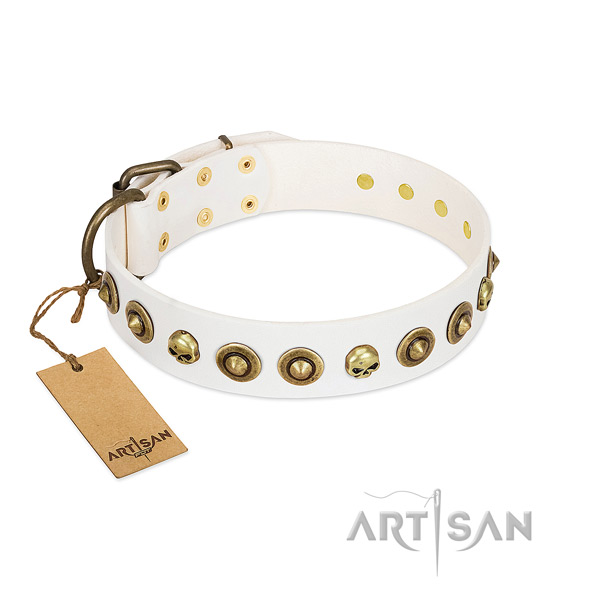 Leather collar with unusual embellishments for your doggie