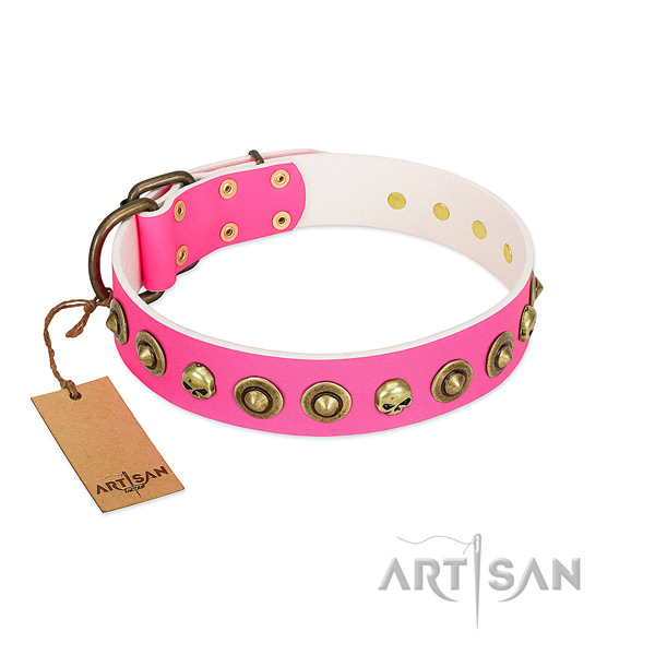 Fashionable full grain natural leather dog collar with corrosion proof adornments