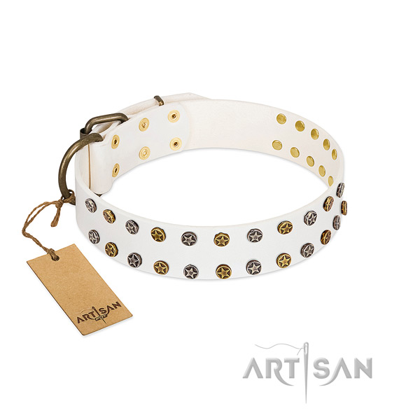 Unique leather dog collar with corrosion resistant embellishments