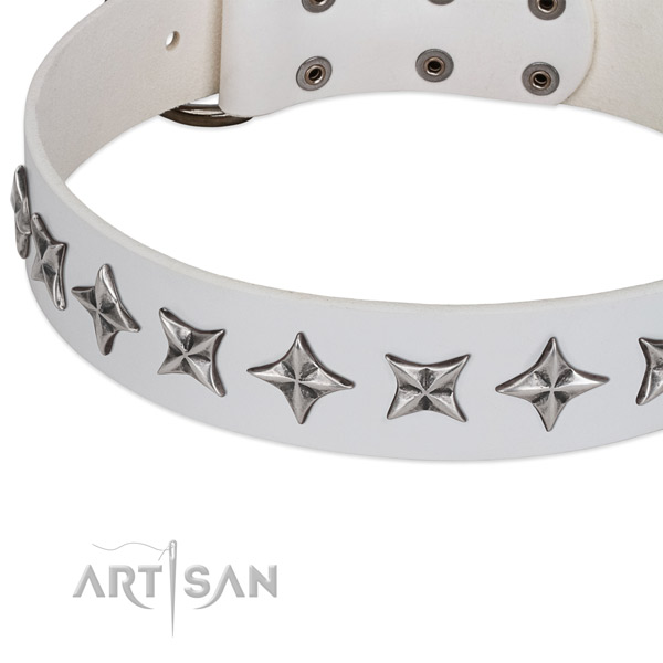 Daily walking studded dog collar of reliable genuine leather