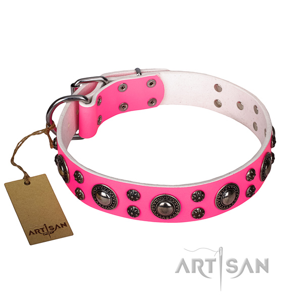 Walking dog collar of quality natural leather with decorations
