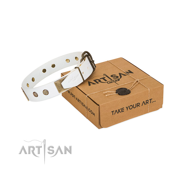 Reliable traditional buckle on dog collar for everyday use