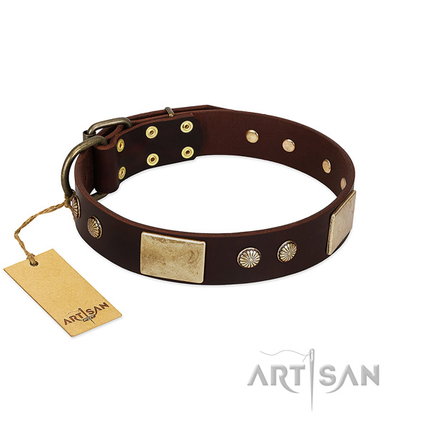 Easy to adjust leather dog collar for everyday walking your pet