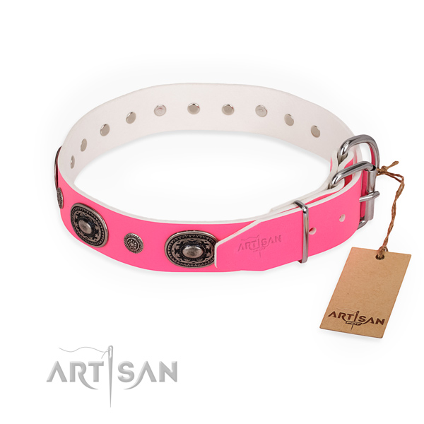 Stylish walking perfect fit dog collar with reliable fittings