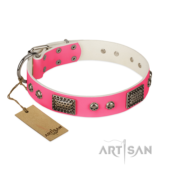 Easy adjustable natural leather dog collar for walking your canine