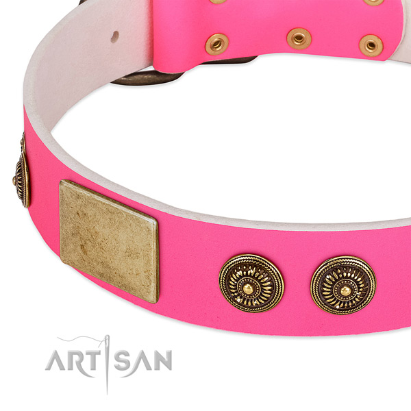 Easy wearing dog collar crafted for your lovely dog