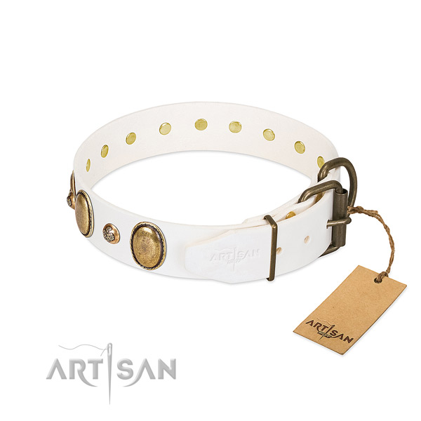 Stylish walking natural genuine leather dog collar